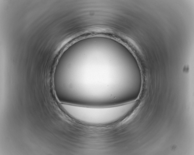 X0000092041065200709121001