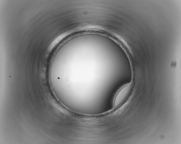 X0000092041066200709121001