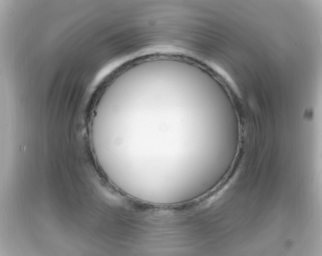 X0000092041070200709121000
