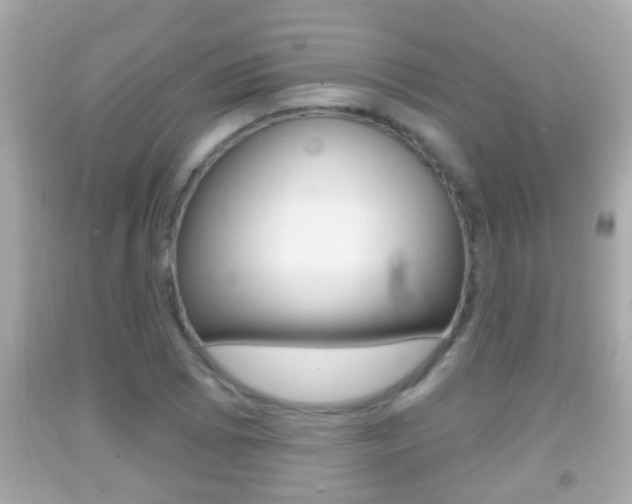 X0000092041073200709121000