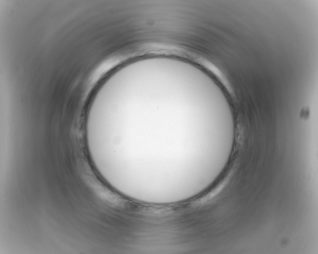 X0000092041074200709121000