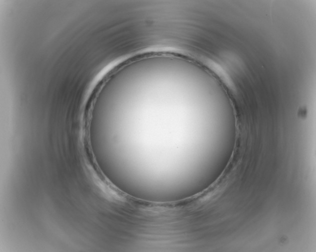 X0000092041076200709121000