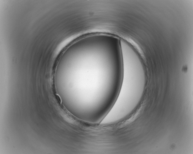 X0000092041077200709121000