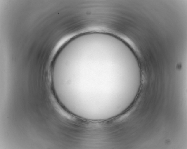 X0000092041078200709121000