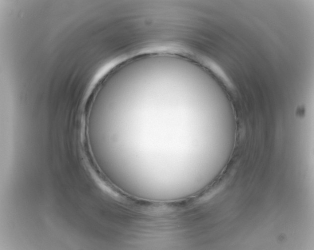 X0000092041079200709121000