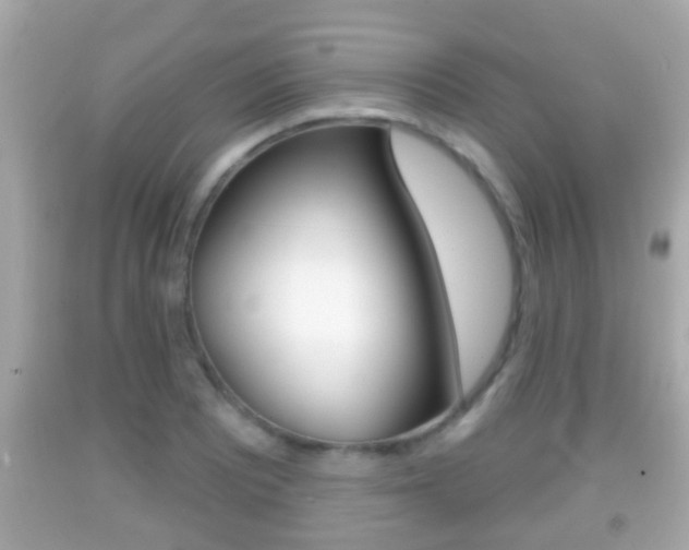 X0000092041081200709121000
