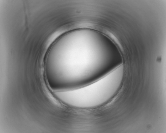 X0000092041082200709121000