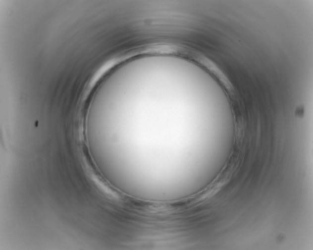 X0000092041083200709121000