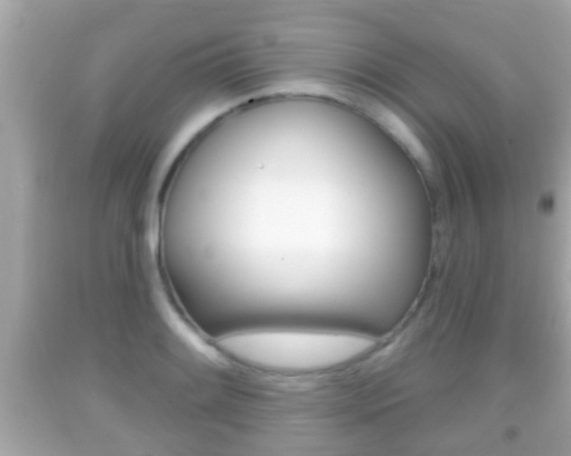 X0000092041084200709121000
