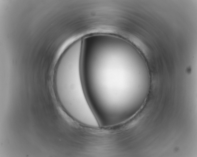 X0000092041085200709121000