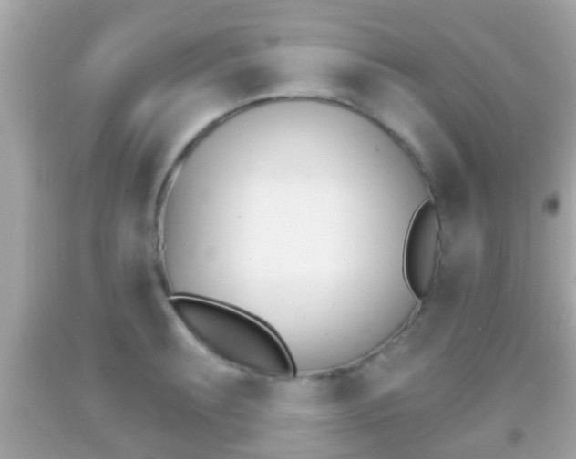 X0000092041087200709121000
