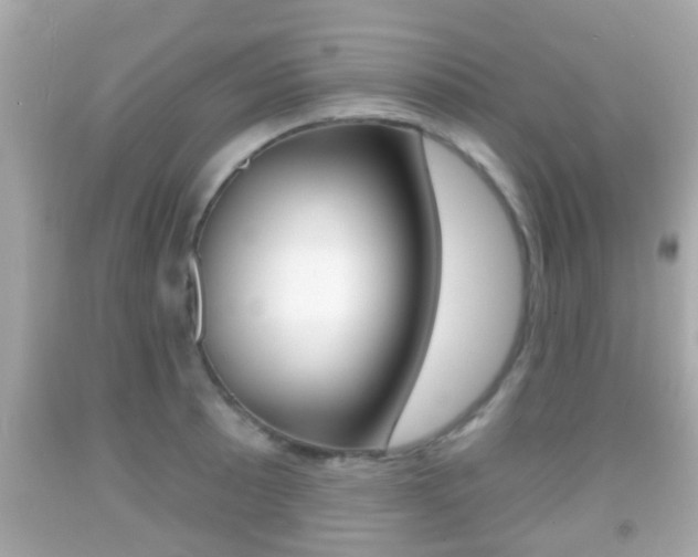 X0000092041089200709121000