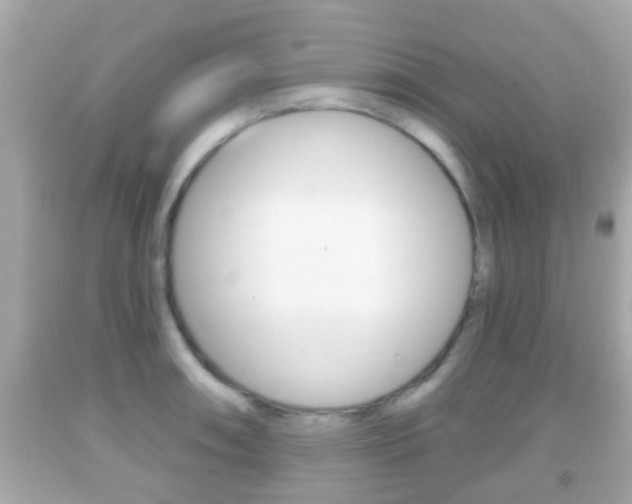 X0000092041090200709121000