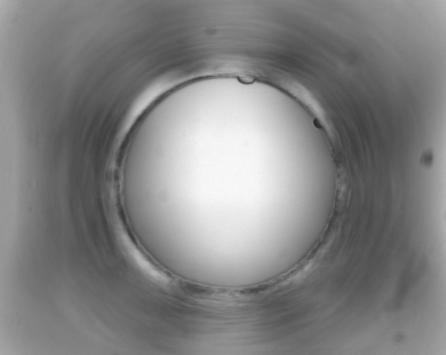 X0000092041091200709121000