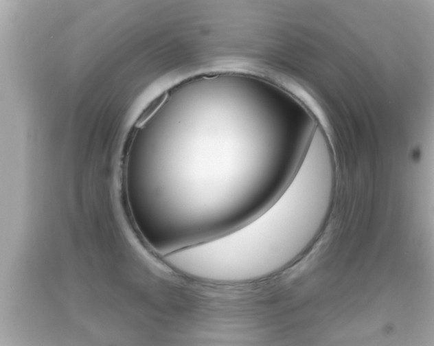X0000092041093200709121000