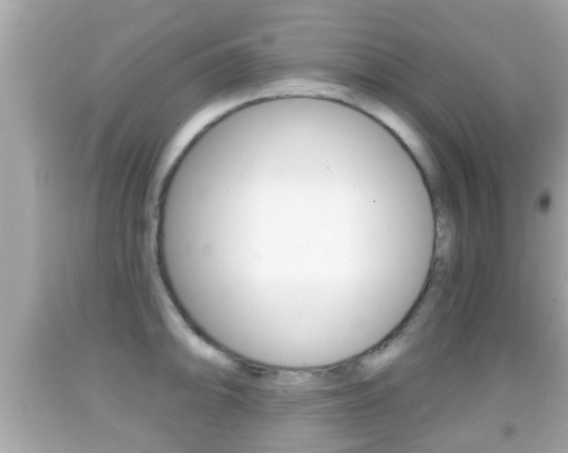 X0000092041094200709121000