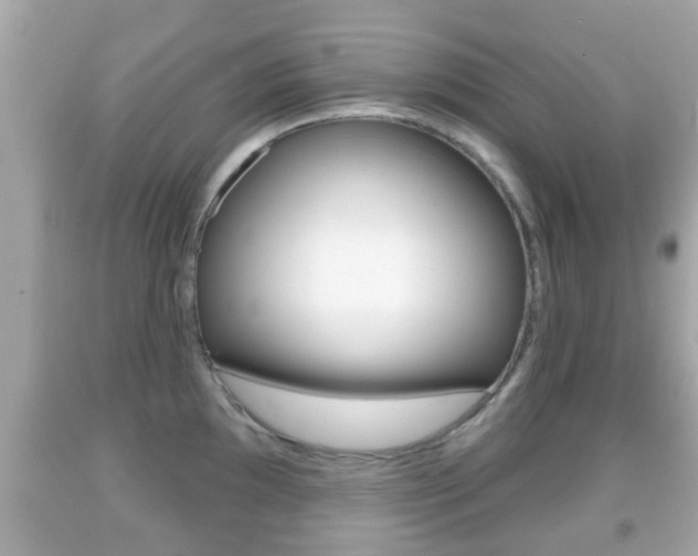 X0000092041097200709121000