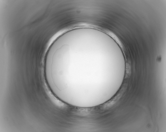 X0000092041098200709121000