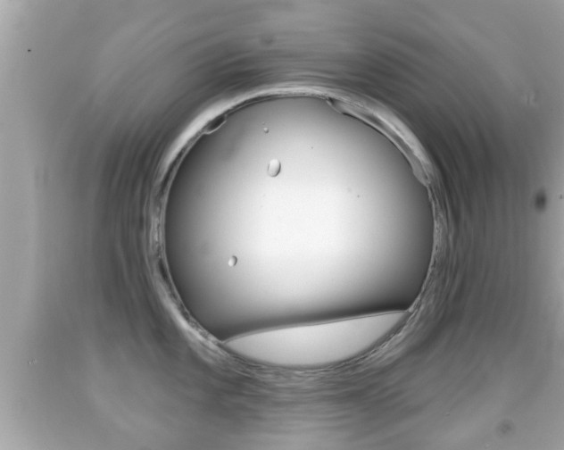 X0000092041101200709121000