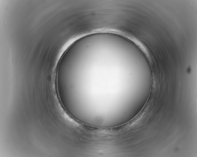 X0000092041102200709121000