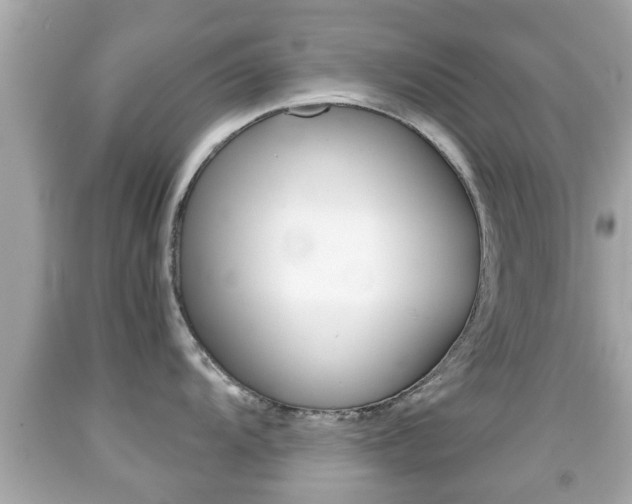 X0000092041104200709121000