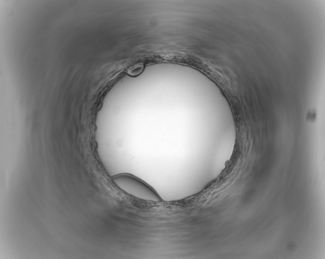 X0000092041105200709120959