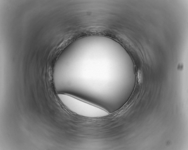 X0000092041107200709120959