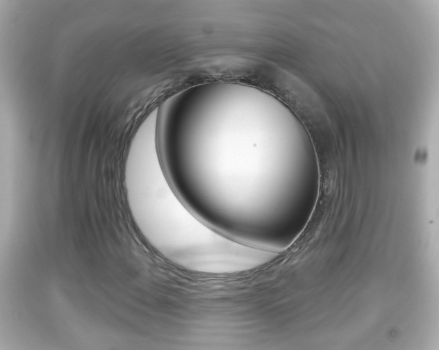 X0000092041108200709120959
