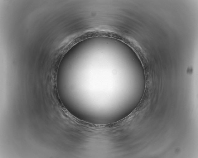 X0000092041110200709120959