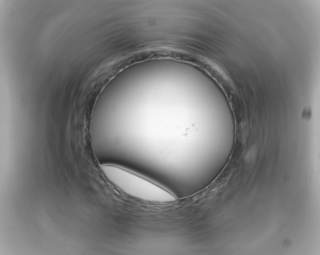 X0000092041111200709121000
