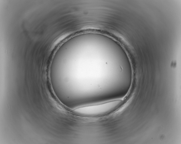 X0000092041113200709121000
