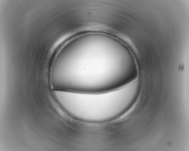 X0000092041114200709121000