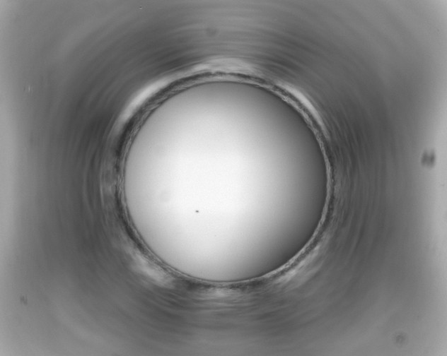 X0000092041115200709121000