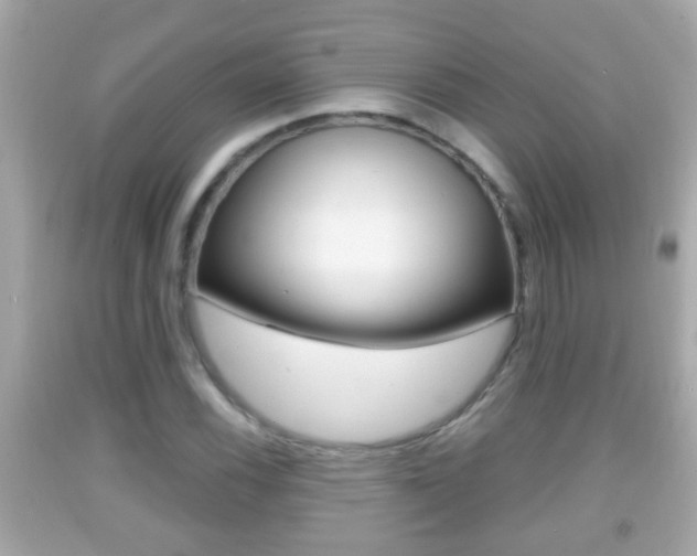 X0000092041116200709121000