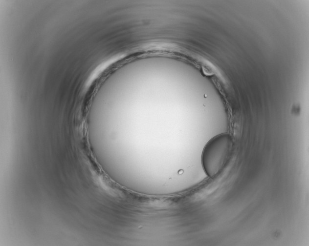 X0000092041117200709121000