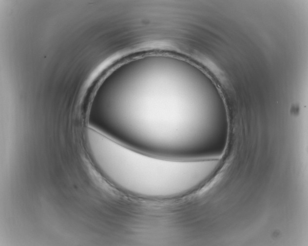 X0000092041118200709121000