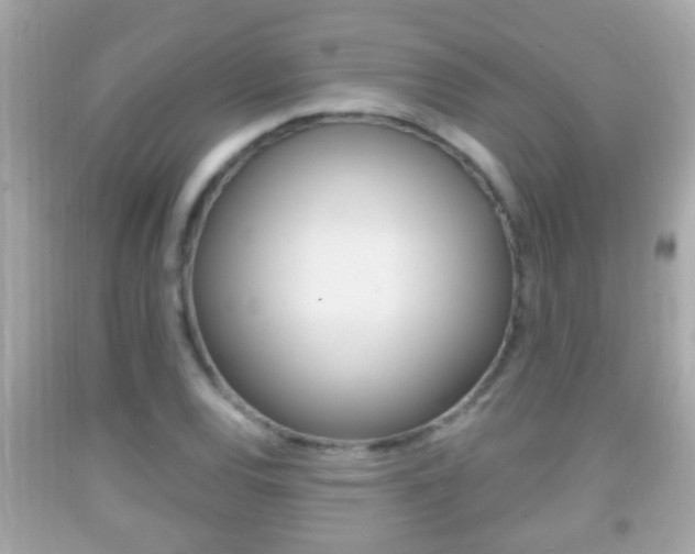 X0000092041120200709121000