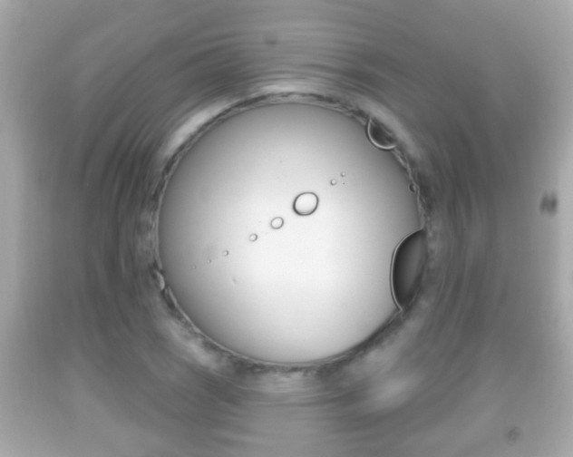 X0000092041121200709121000