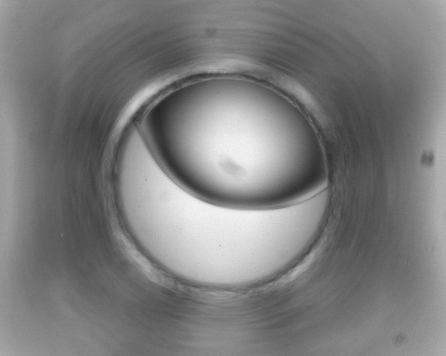 X0000092041122200709121000