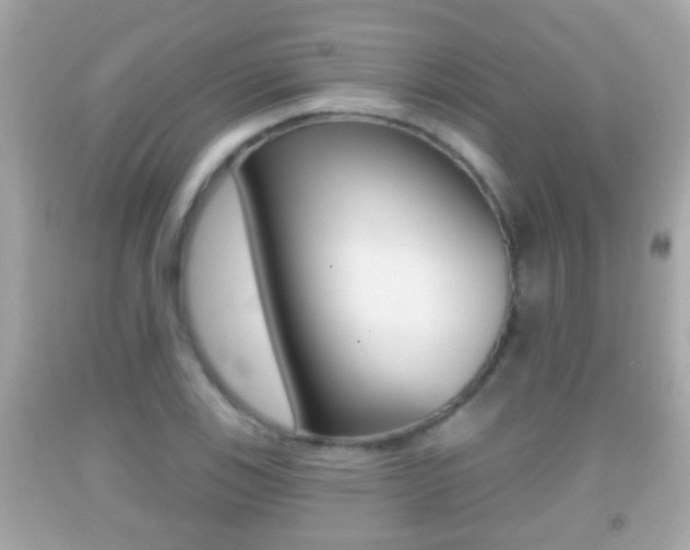 X0000092041123200709121000