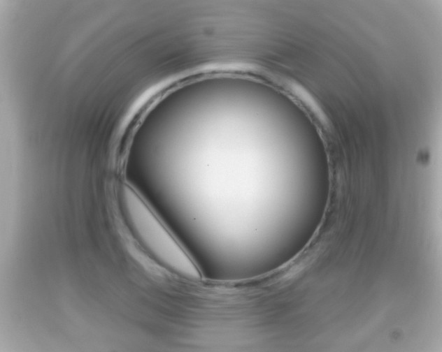 X0000092041124200709121000