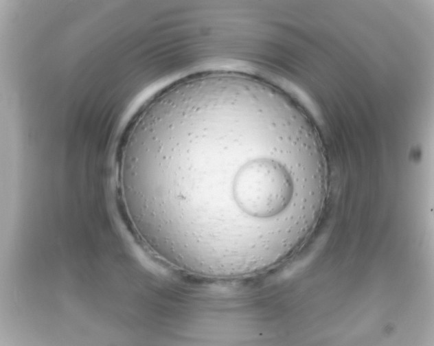 X0000092041125200709121000