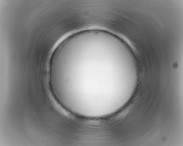X0000092041126200709121000