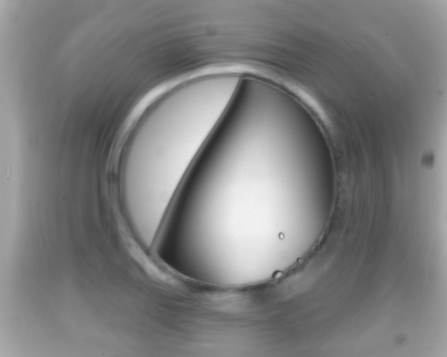 X0000092041127200709121000