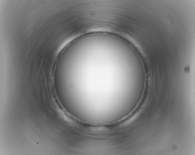 X0000092041129200709121000