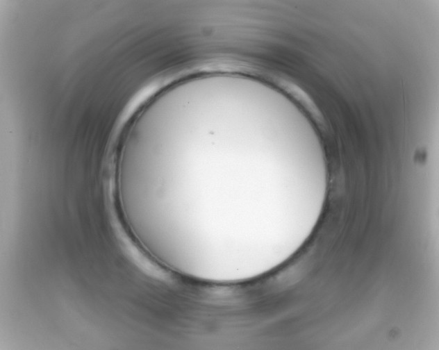 X0000092041130200709121000