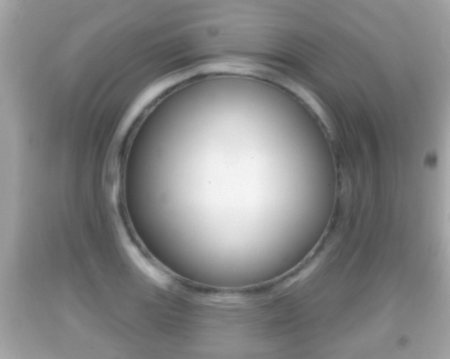 X0000092041131200709121000