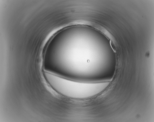 X0000092041132200709121000