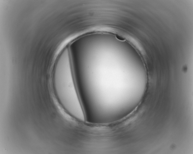 X0000092041133200709121000