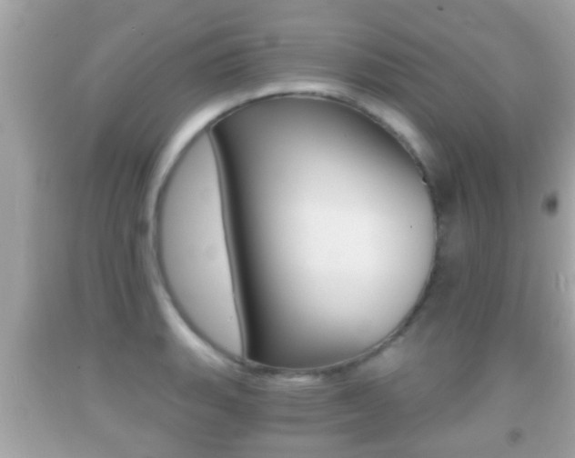 X0000092041135200709121000